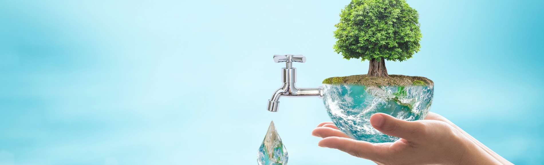 image of tree in a bowl of water with a tap attached